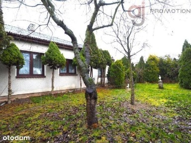 ul. Towarowa, Mszczonów, żyrardowski, mazowieckie