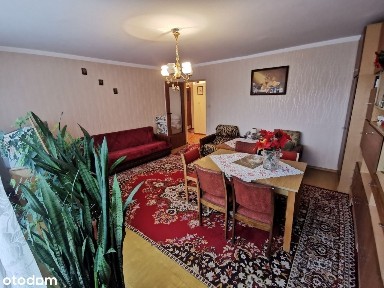 Złotów, złotowski, wielkopolskie