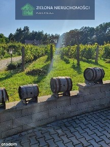 Racula, Zielona Góra, lubuskie