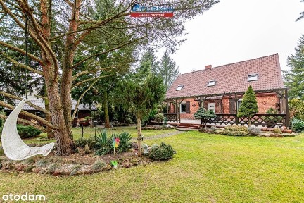 Na sprzedaż siedlisko w Wyszynkach gmina Budzyń