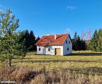 Radosty, Barczewo, olsztyński, warmińsko-mazurskie