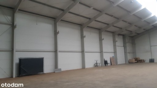 Cedry Wielkie, gdański, pomorskie