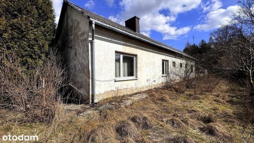 Dom na Jurze oklice Janowa | Działka 0,5ha z lasem