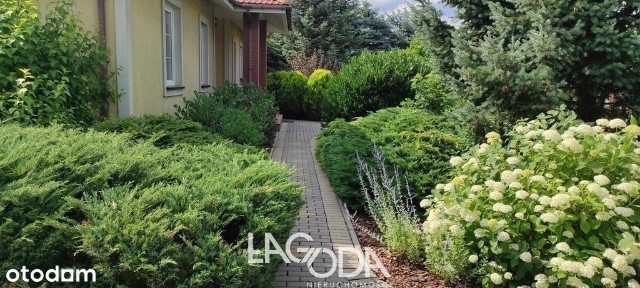 Karnin, Gorzów Wielkopolski, lubuskie