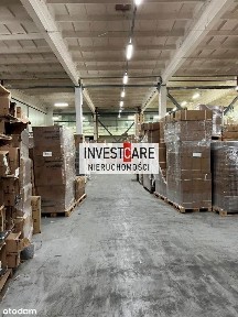 Wodzisław Śląski, wodzisławski, śląskie