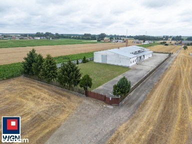 Budynek produkcyjny w branży mięsnej k. Grodziska Wlkp.