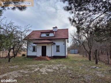 Dom dla amatorów leśnego mikroklimatu.