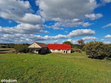 Na sprzedaż siedlisko na Pojezierzu Drawskim.