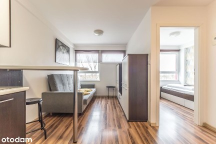 wyb. Ludwika Pasteura, Plac Grunwaldzki, Śródmieście, Wrocław, dolnośląskie