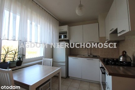 śliczne 65m kw - Chełmica Cukrownia