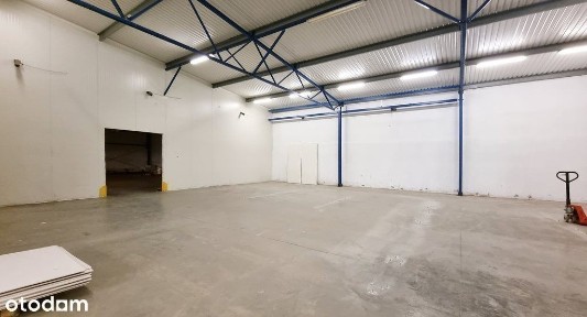Hala magazynowa z częścią biurową / bez prowizji