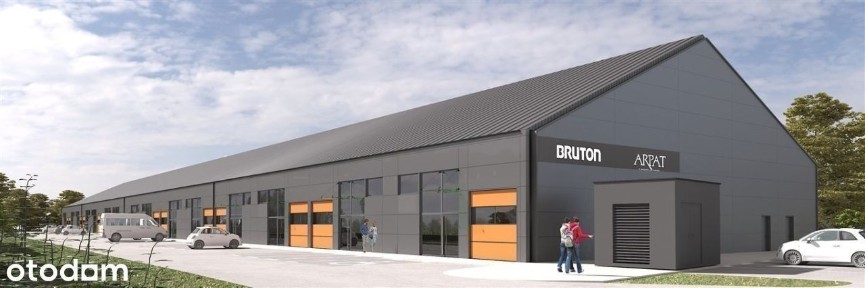 Lokal użytkowy, 242 m², Opole