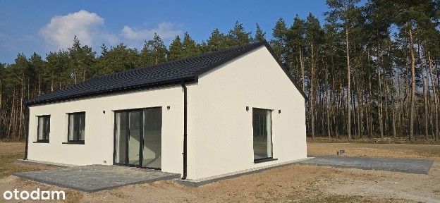Nowy wolnostojący dom przy lesie