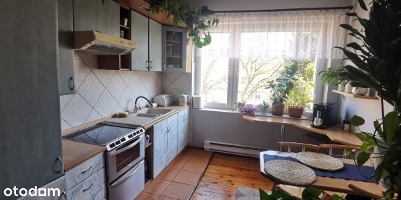 Pogodno, Zachód, Szczecin, zachodniopomorskie