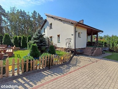 Tuż przy lesie i Jeziorze Niedzięgiel