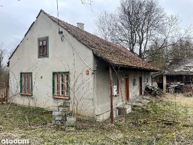 Dom, działka 0,35 ha, Kujawki, gmina Działoszyce