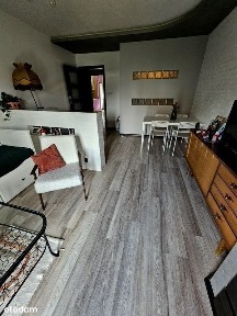 komfortowe mieszkanie z ogródkiem