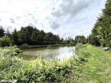 Dom całoroczny, na dużej działce ze stawem rybnym