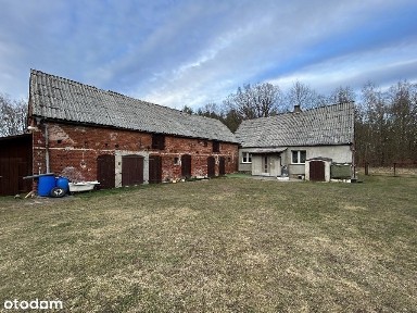 Dom, 100 m², Borzym