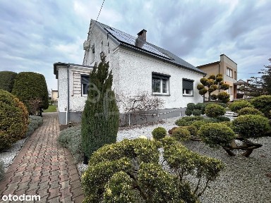 Ostrów Wielkopolski, ostrowski, wielkopolskie