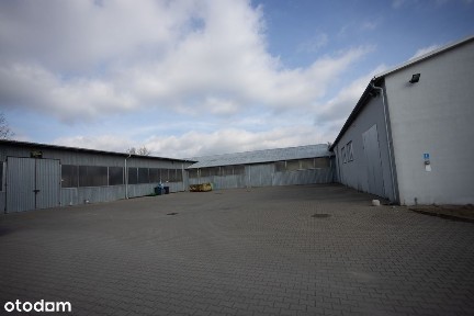 Sprzedam hale magazynowe z biurem