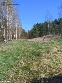 Dom jednorodzinny z dużą działką.