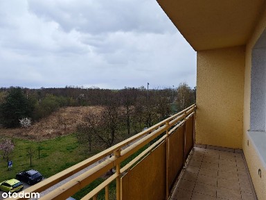 Przestronne M4 z widokiem na zieleń i jezioro | Bezpośrednio!