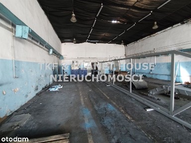 Hala na wyjanem 340 m2 Braci Kobylańskich/Drzewica