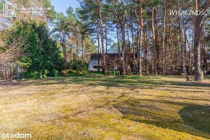 Dom w Radości | Magiczna działka ze starodrzewiem