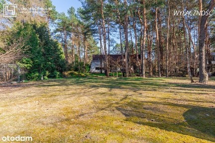 Dom w Radości | Magiczna działka ze starodrzewiem