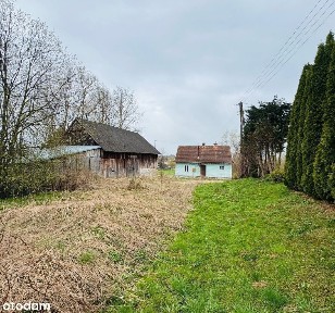 Blizne, Jasienica Rosielna, brzozowski, podkarpackie