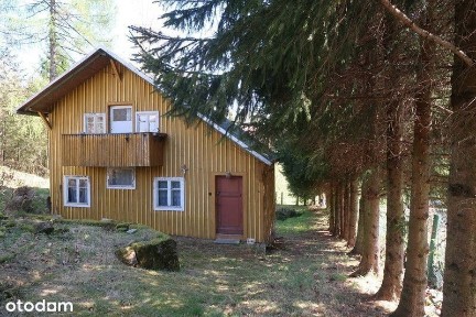 Janowice Wielkie, karkonoski, dolnośląskie