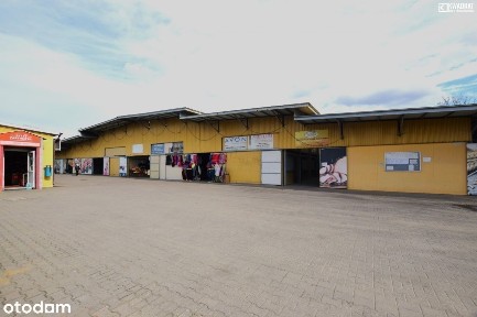 Do wynajęcia 1200 m2 powierzchni usługowej/Łęczna