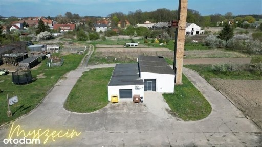 Obiekt pod działalność - hala, warsztat - Myszęcin