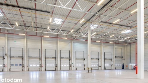 6 625m2 hala pod produkcję + 550m2 socjal! RADOM