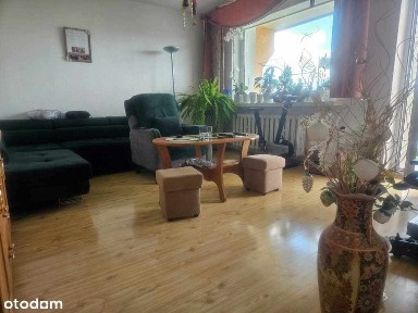 Zacisze 2-pokojowe do wprowadzenia.