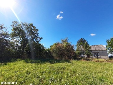 Stare siedlisko 600m od jeziora Żalskie Wielgie