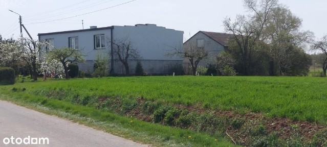 Dom + 5,72 ha Góraj gm. Babiak