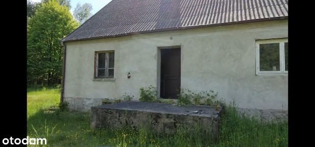 Sprzedam dom w lesie