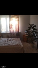 Ostrowiec Świętokrzyski, ostrowiecki, świętokrzyskie