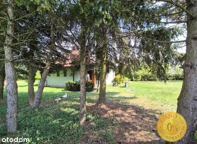 Malownicza lokalizacja z Solidnym Domem !