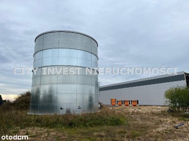 Hala/Magazyn, 5 000 m², Sulechów