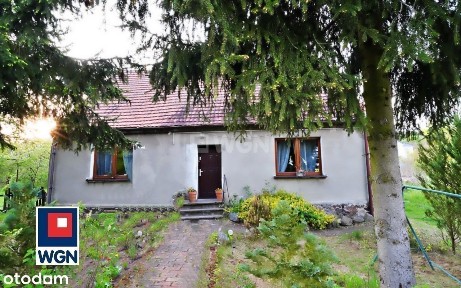 Dom na dużej działce z budynkami gospodarczymi.