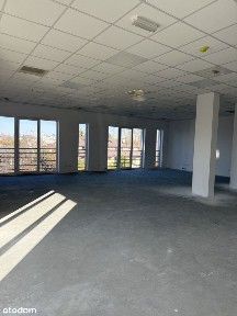 ul. Łopuszańska, Raków, Włochy, Warszawa, mazowieckie