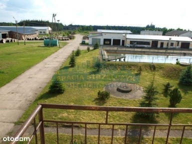 Lokal użytkowy, 4 500 m², Przasnysz