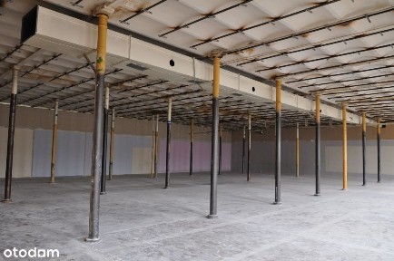 Powierzchnia Produkcyjno-Magazynowa 550 m² w Centrum Łodzi - Wigury 21