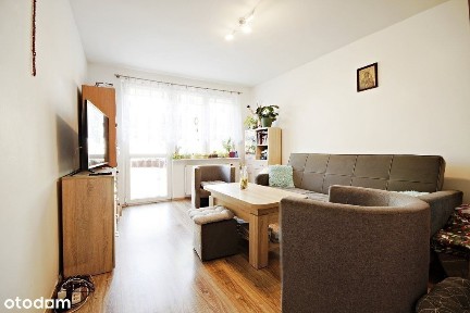 Mieszkanie, 46,93 m², Maszewo