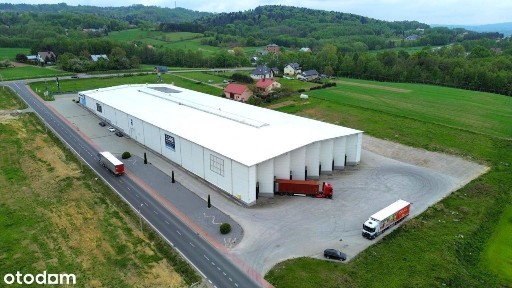 Hala produkcyjno magazynowa 7000m2 wynajem Dębica