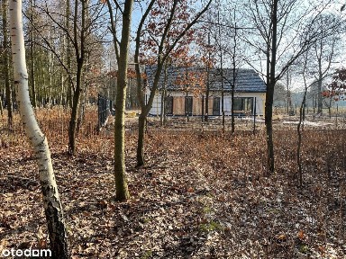 Wygodny dom w lesie !