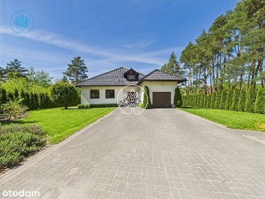 Lisi Ogon, Białe Błota, bydgoski, kujawsko-pomorskie